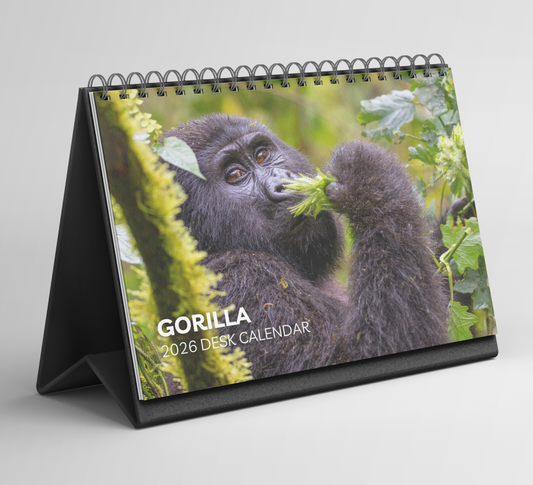 Gorilla Desk Calendar 2026-2027