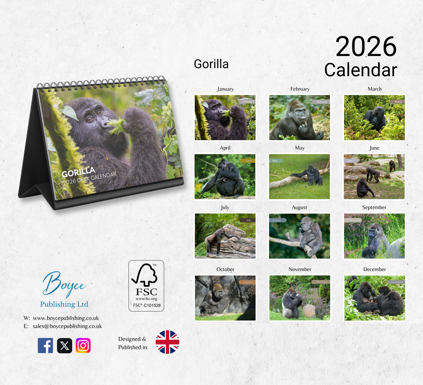 Gorilla Desk Calendar 2026-2027