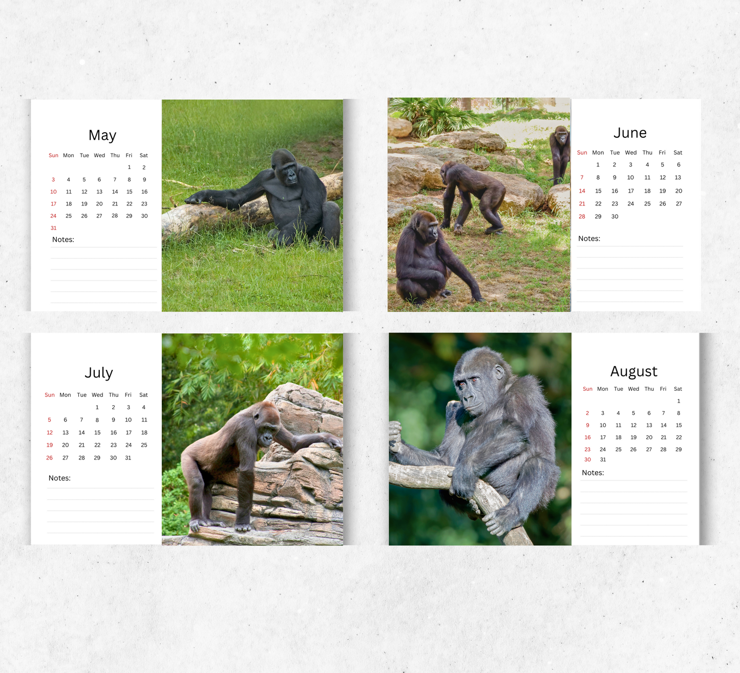 Gorilla Desk Calendar 2026-2027
