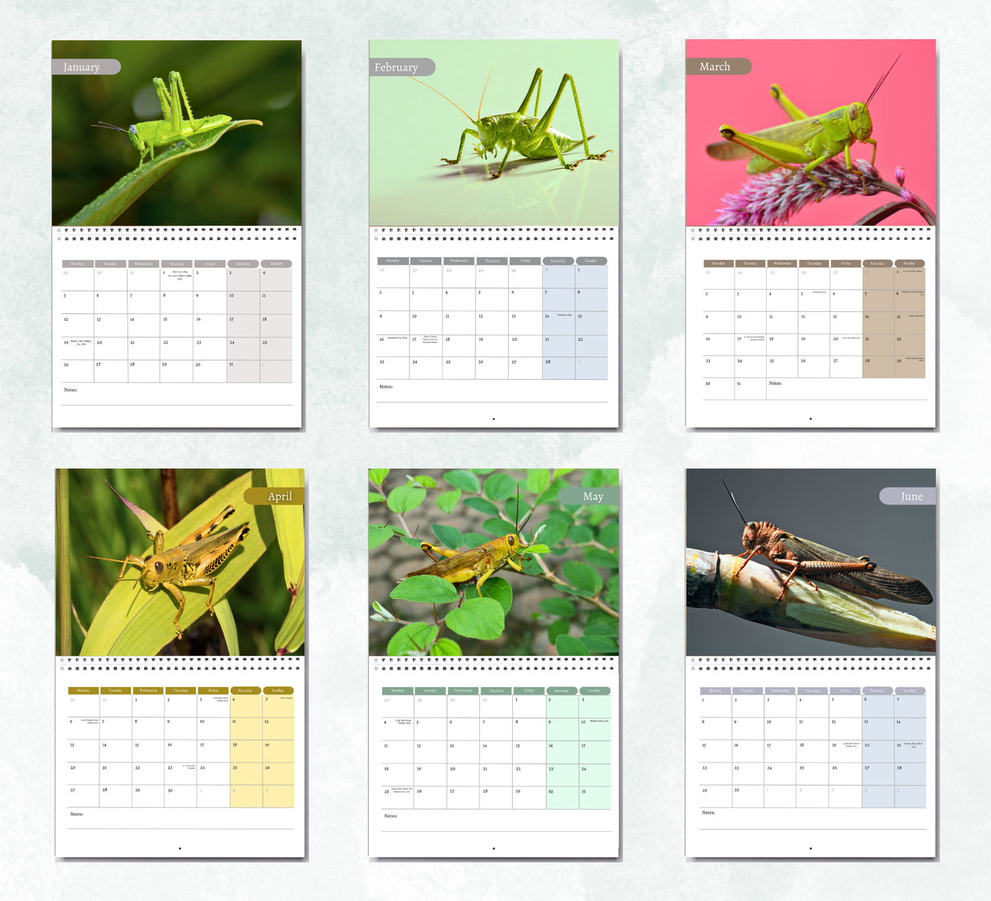 Grasshopper Calendar 2026