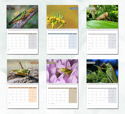 Grasshopper Calendar 2026
