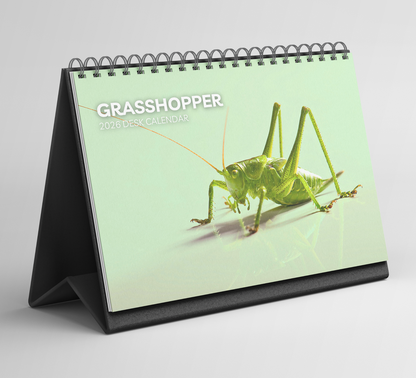 Grasshopper Desk Calendar 2026-2027
