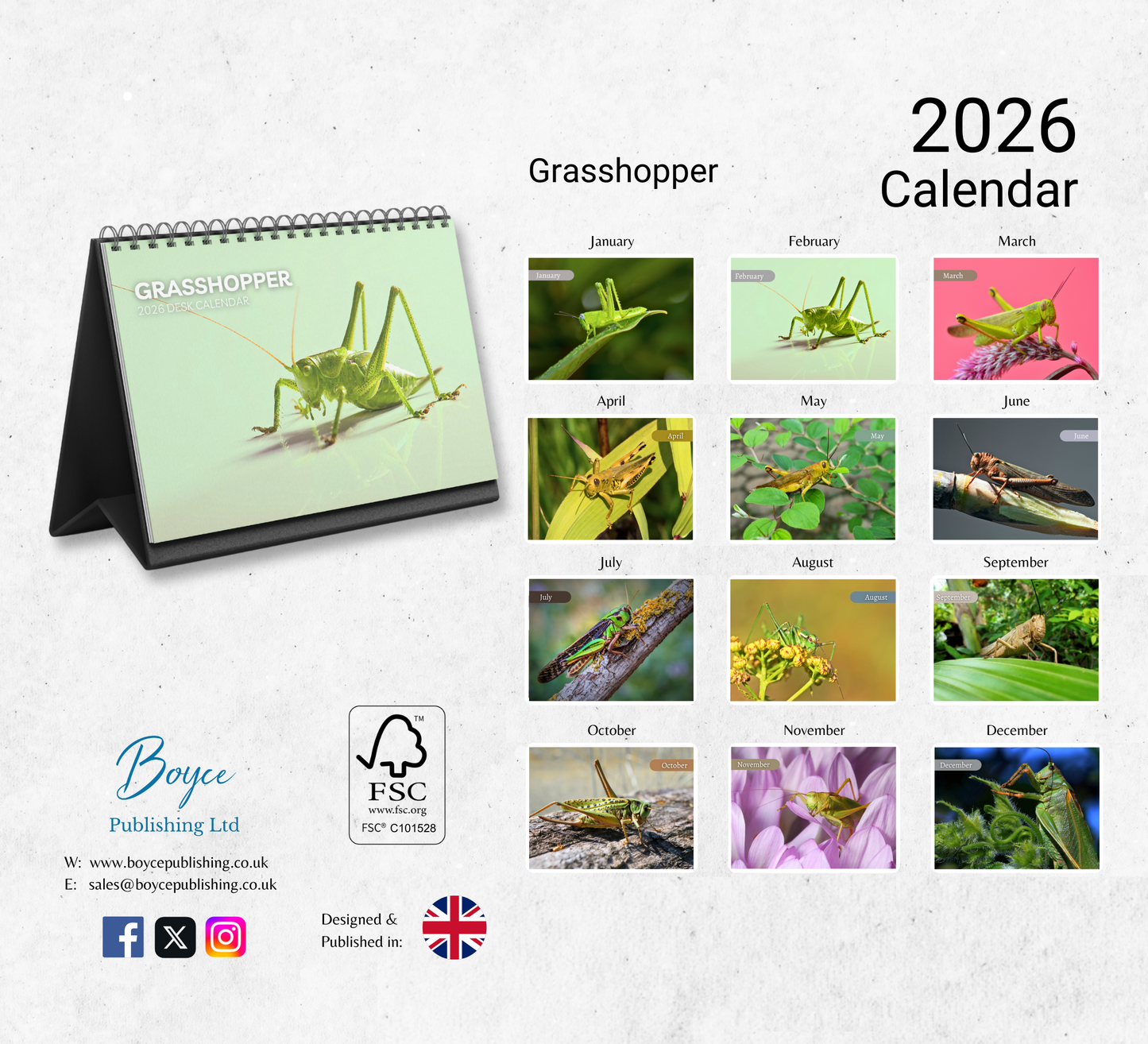 Grasshopper Desk Calendar 2026-2027