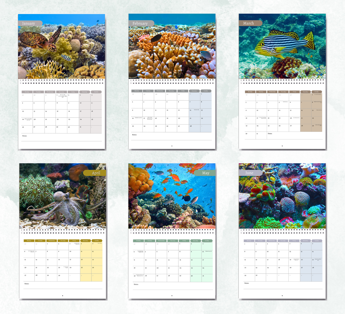 Great Barrier Reef Calendar 2027