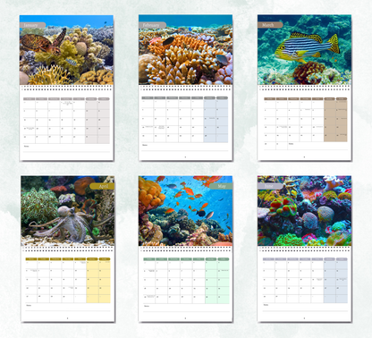 Great Barrier Reef Calendar 2027