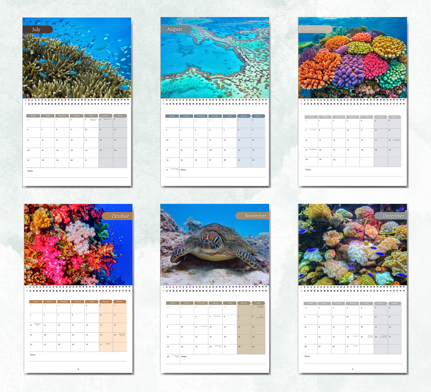 Great Barrier Reef Calendar 2027