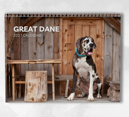 Great Dane Calendar 2027