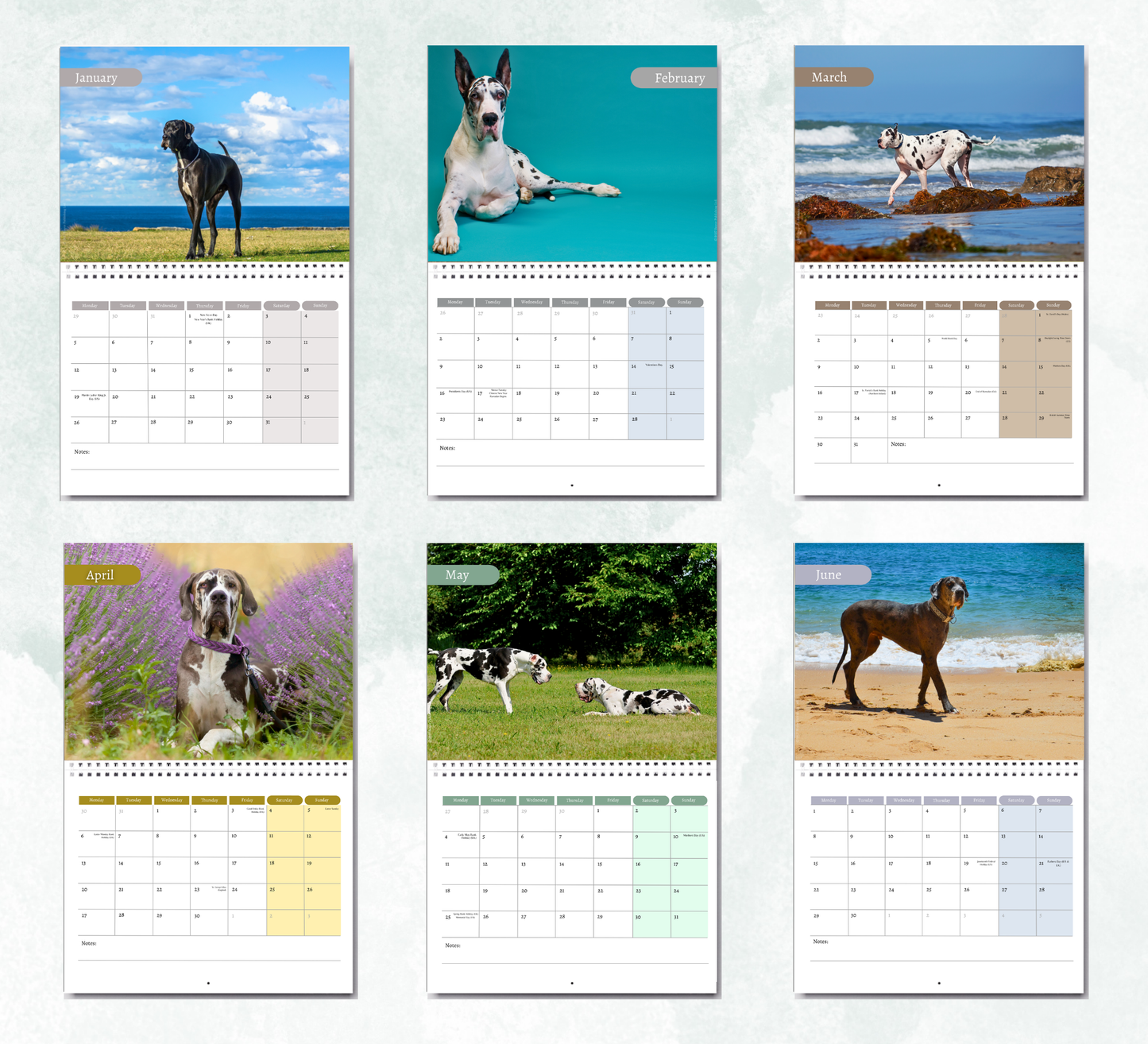 Great Dane Calendar 2027