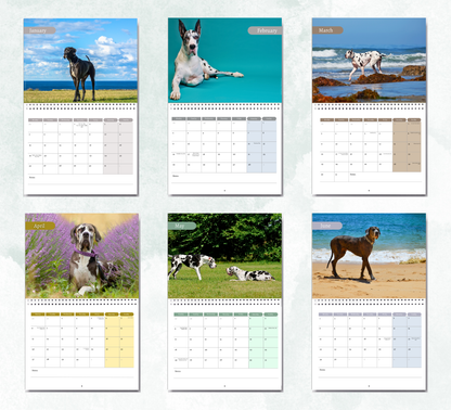 Great Dane Calendar 2027