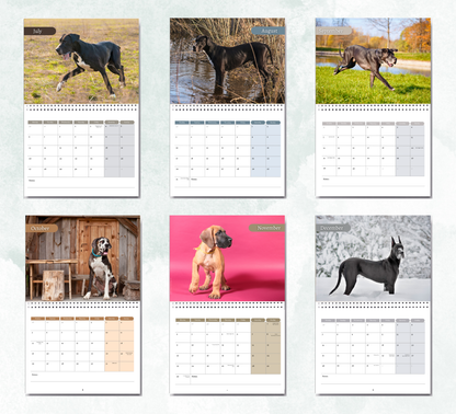 Great Dane Calendar 2027