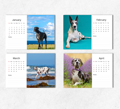 Great Dane Desk Calendar 2027-2028