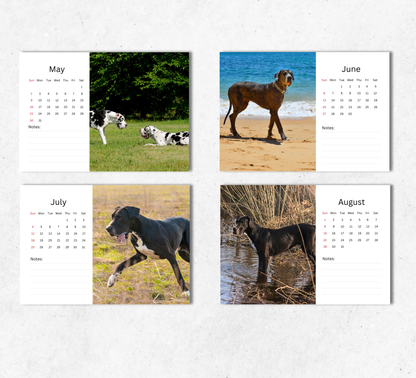 Great Dane Desk Calendar 2027-2028