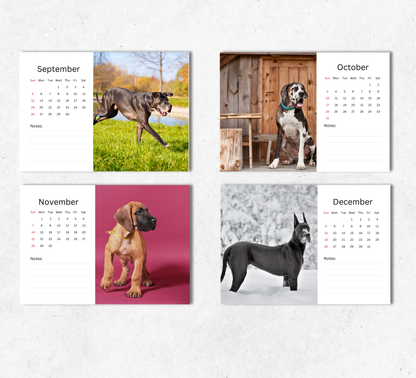 Great Dane Desk Calendar 2027-2028