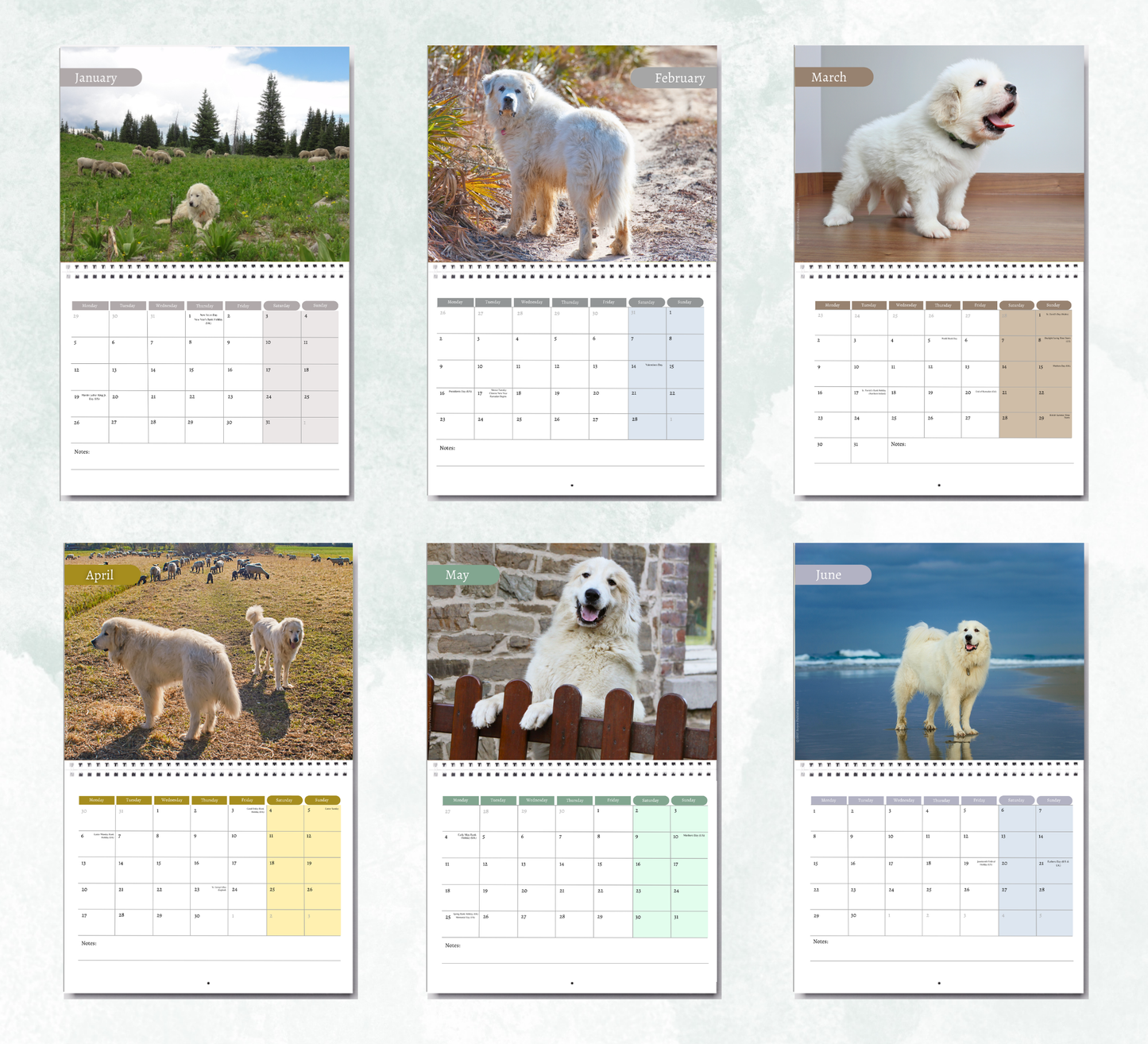 Great Pyrenees Calendar 2027