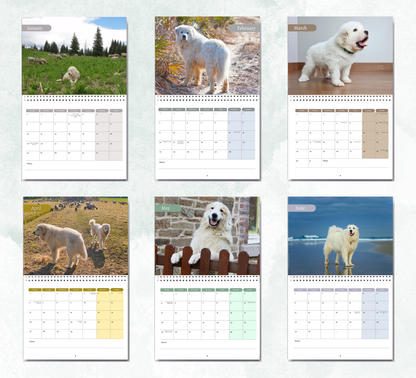 Great Pyrenees Calendar 2027