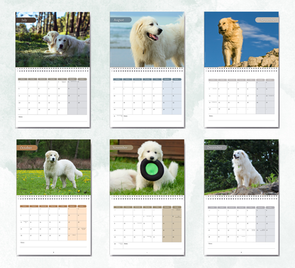 Great Pyrenees Calendar 2027