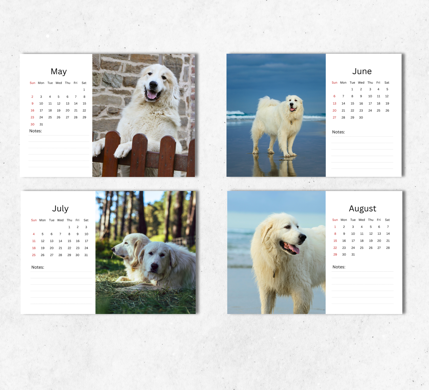 Great Pyrenees Desk Calendar 2027-2028