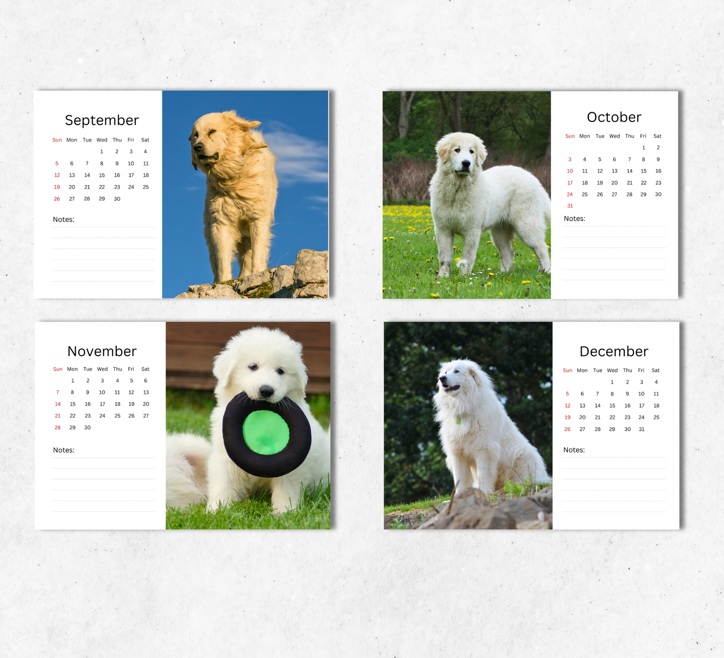 Great Pyrenees Desk Calendar 2027-2028