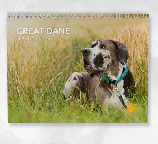 Great Dane Calendar 2026