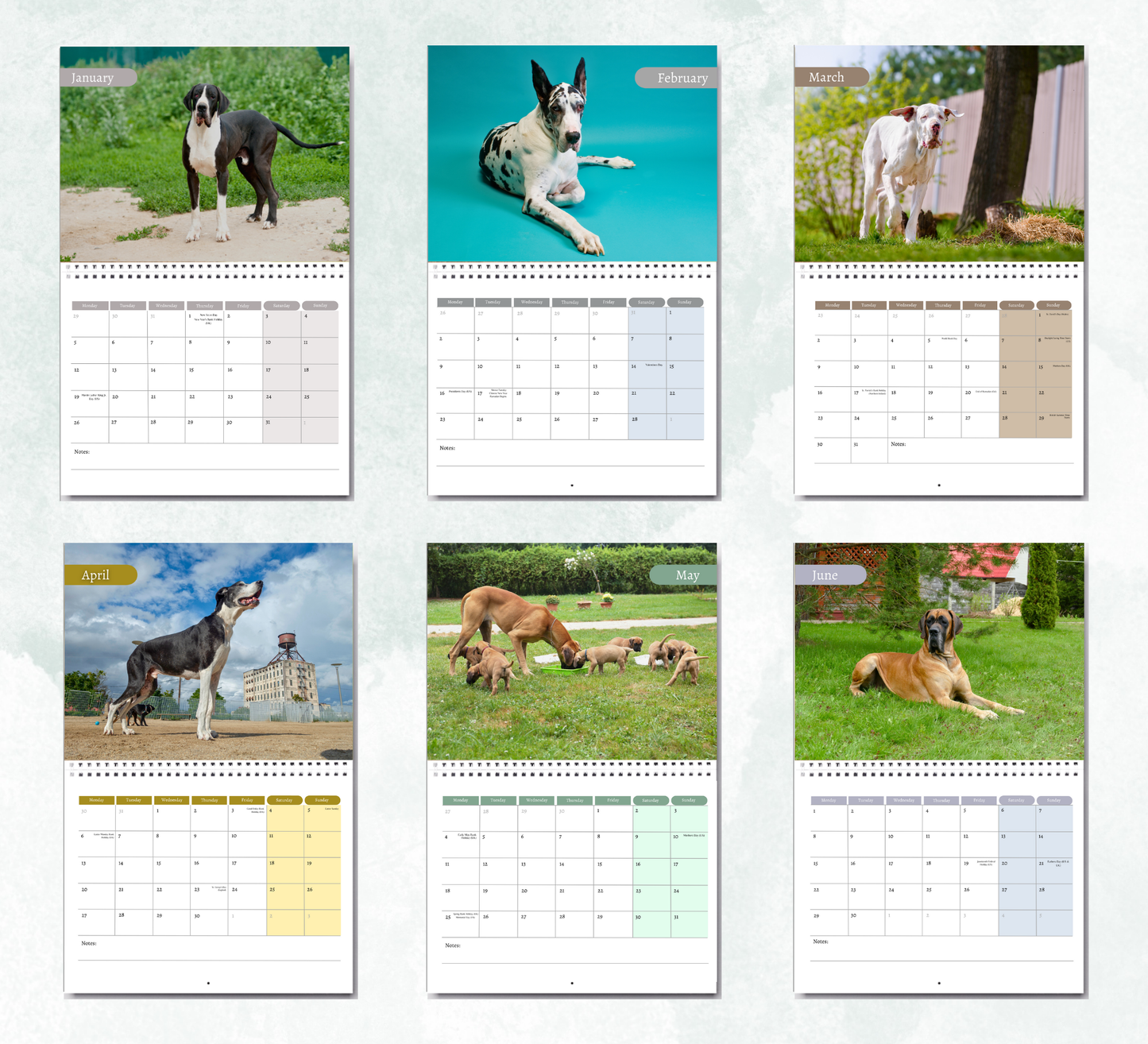 Great Dane Calendar 2026