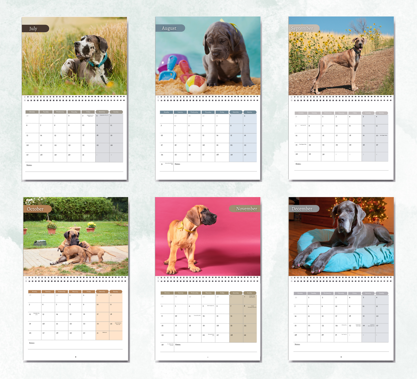 Great Dane Calendar 2026