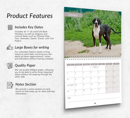Great Dane Calendar 2026