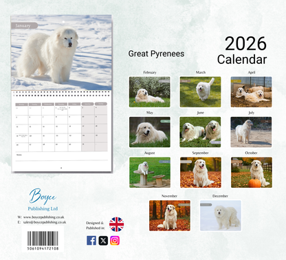 Great Pyrenees Calendar 2026
