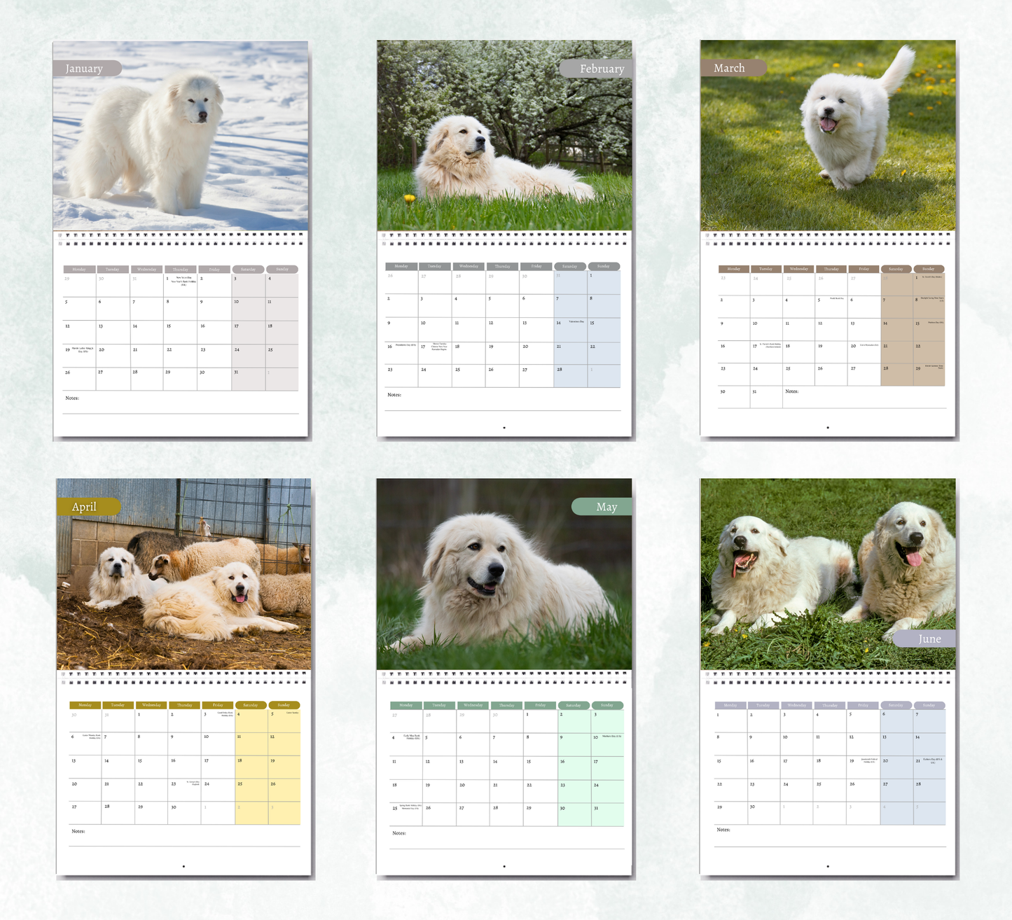 Great Pyrenees Calendar 2026