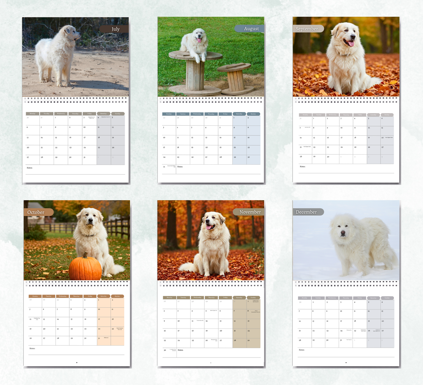 Great Pyrenees Calendar 2026