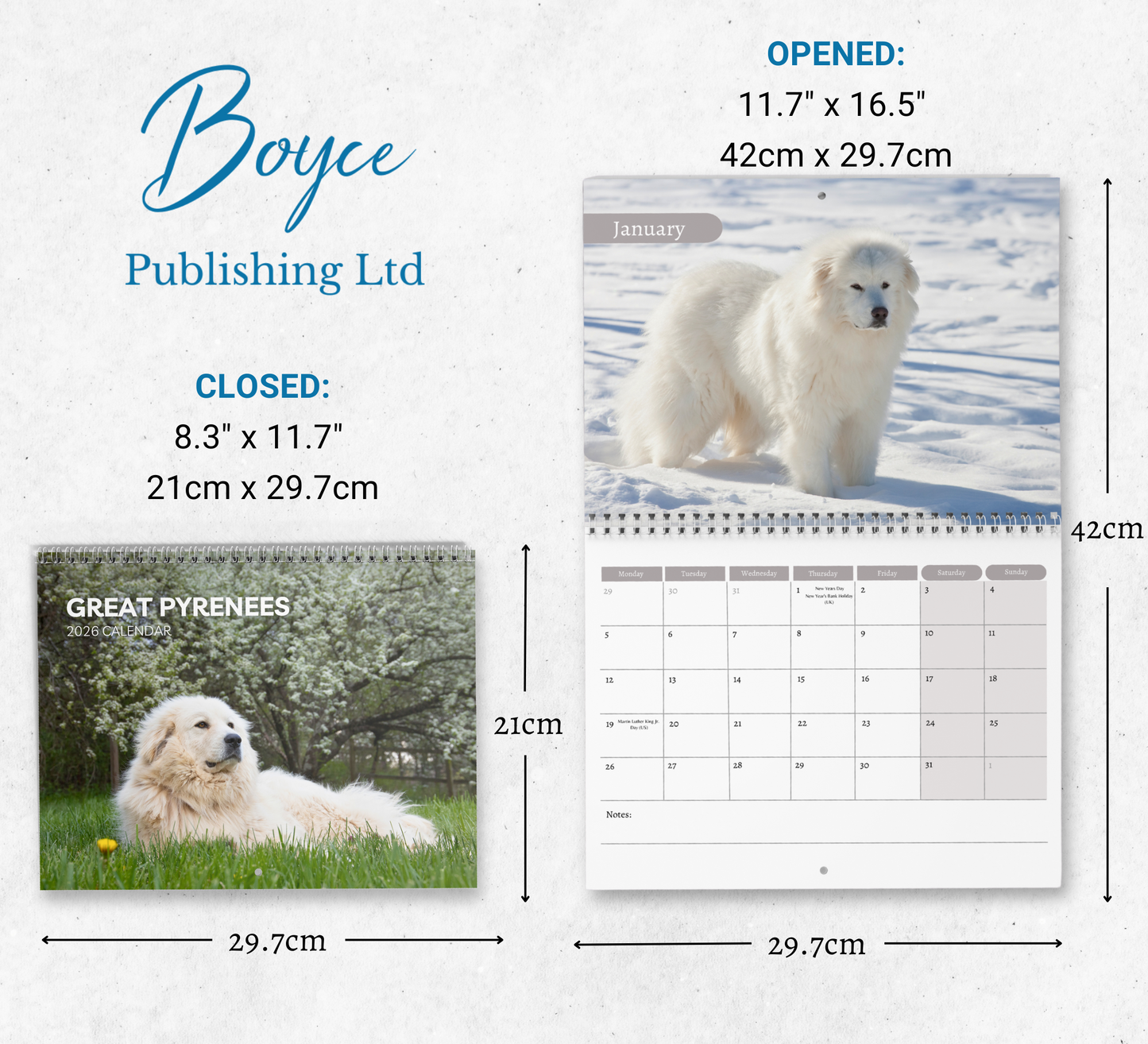 Great Pyrenees Calendar 2026