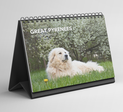 Great Pyrenees Desk Calendar 2026-2027