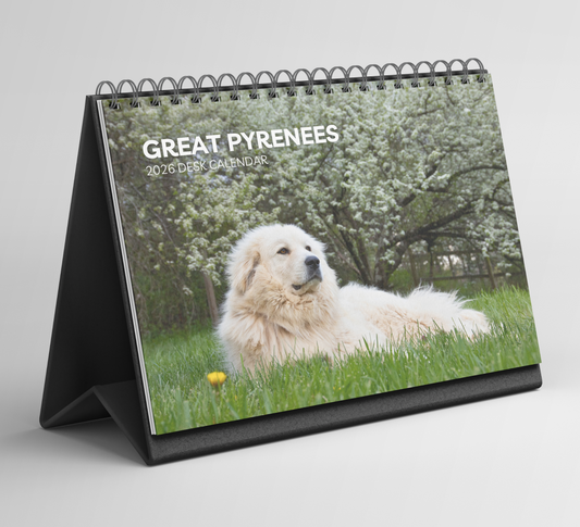 Great Pyrenees Desk Calendar 2026-2027