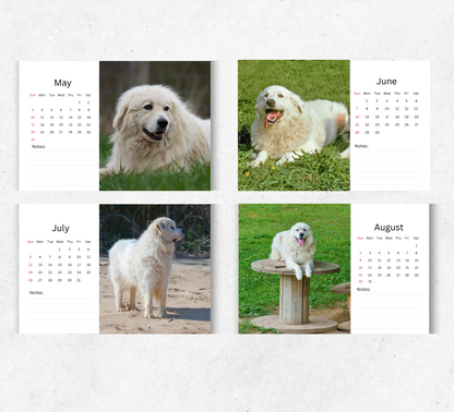 Great Pyrenees Desk Calendar 2026-2027
