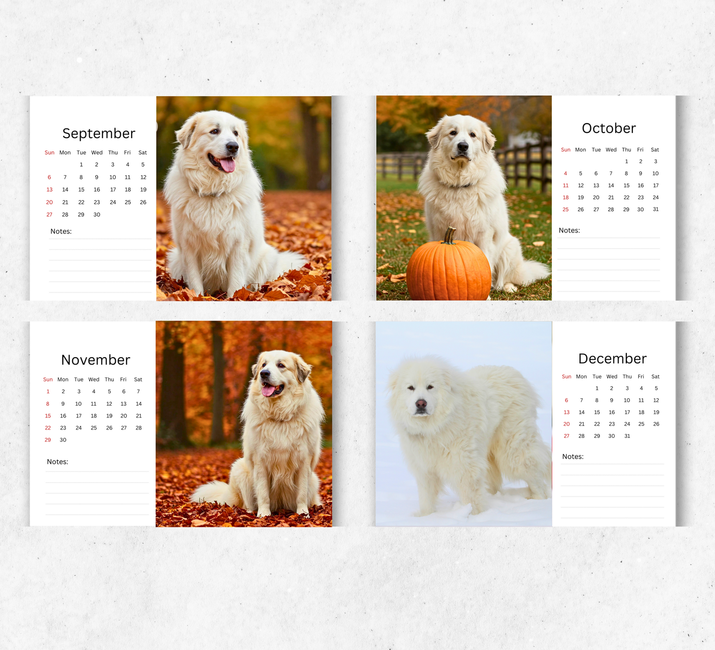 Great Pyrenees Desk Calendar 2026-2027