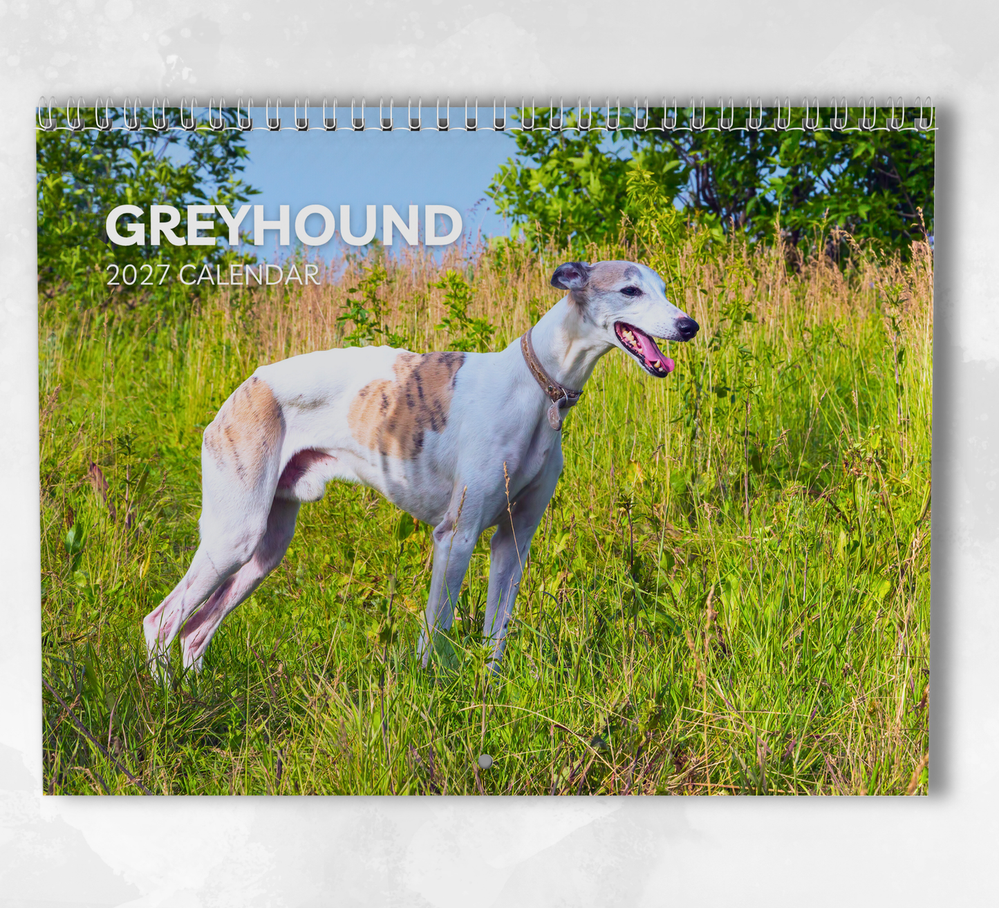 Greyhound Calendar 2027