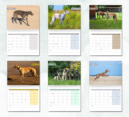 Greyhound Calendar 2027