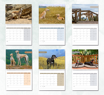 Greyhound Calendar 2027