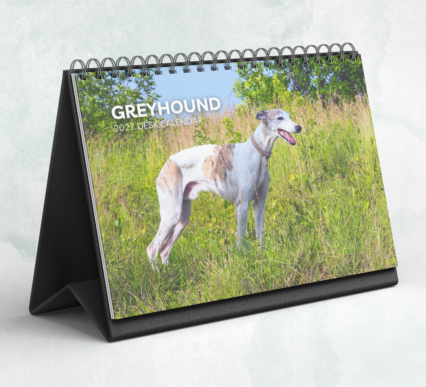 Greyhound Desk Calendar 2027-2028
