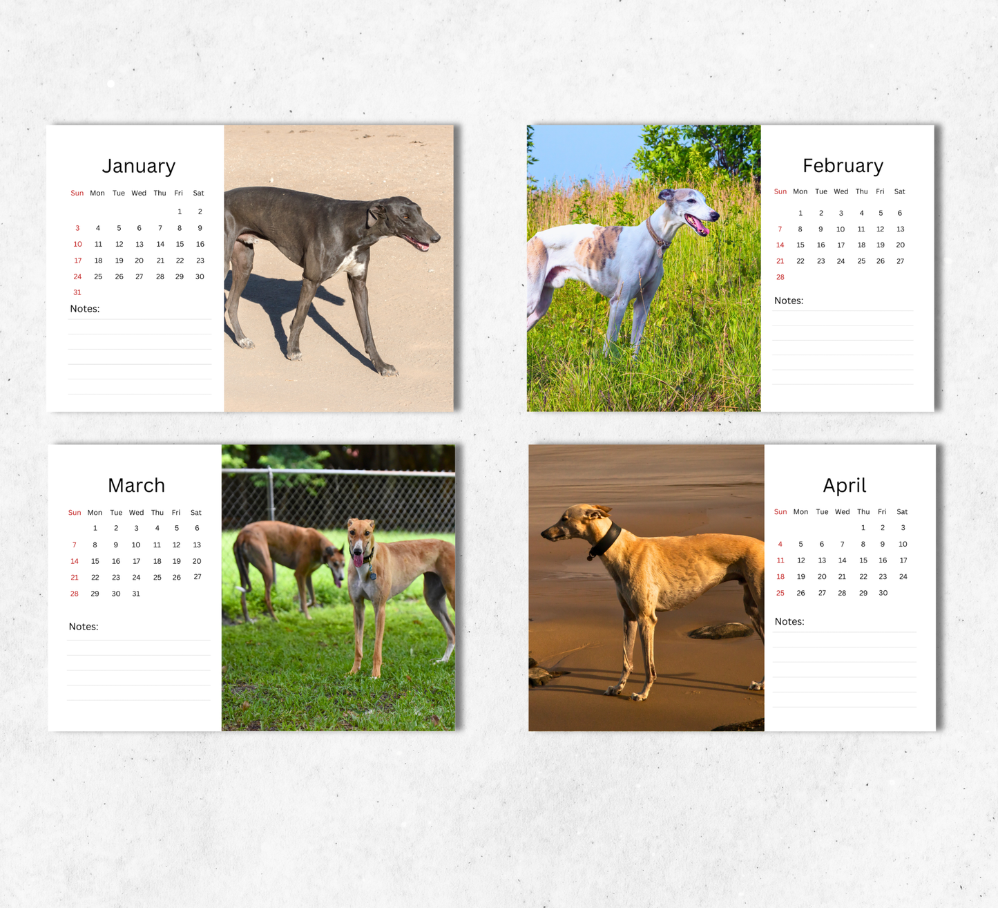Greyhound Desk Calendar 2027-2028