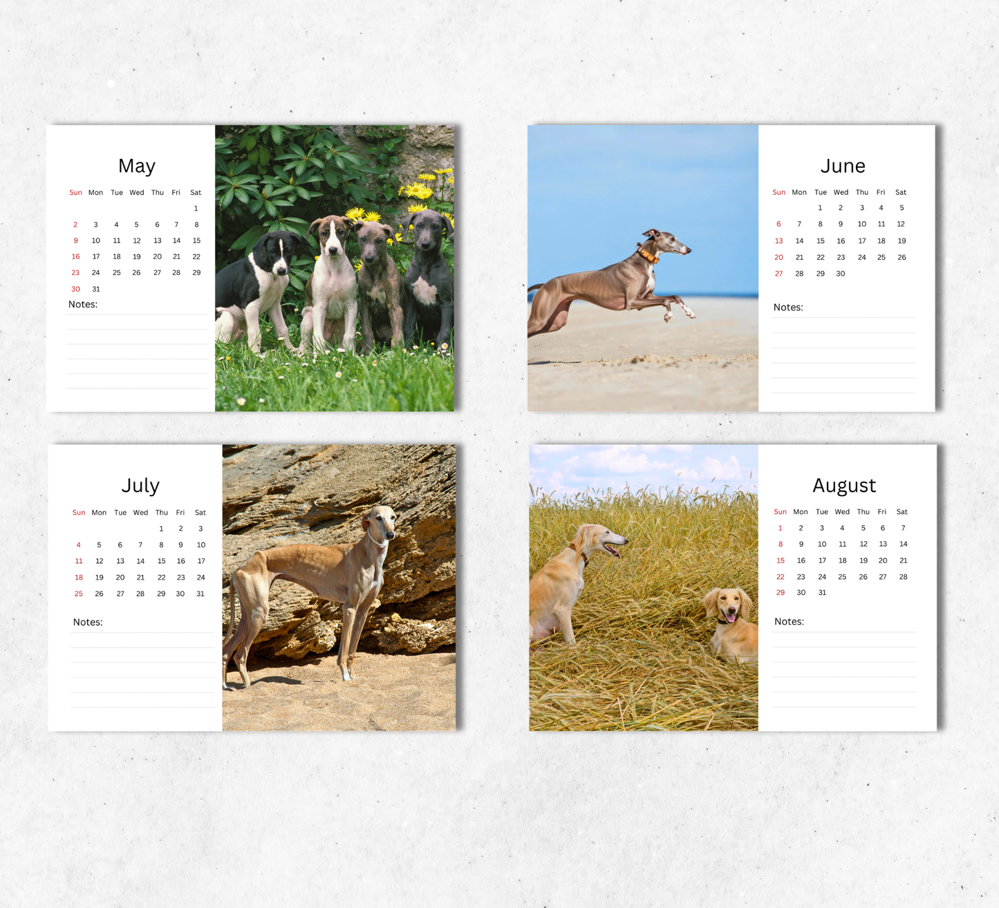 Greyhound Desk Calendar 2027-2028