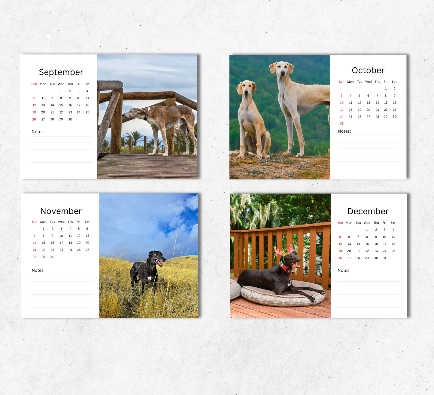 Greyhound Desk Calendar 2027-2028