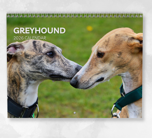 Greyhound Calendar 2026