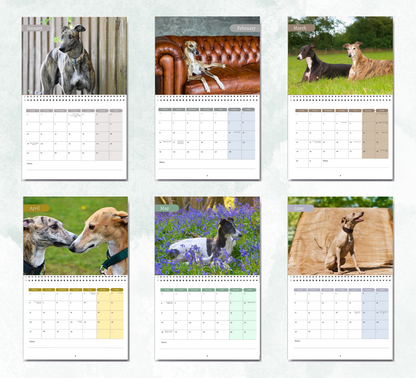 Greyhound Calendar 2026
