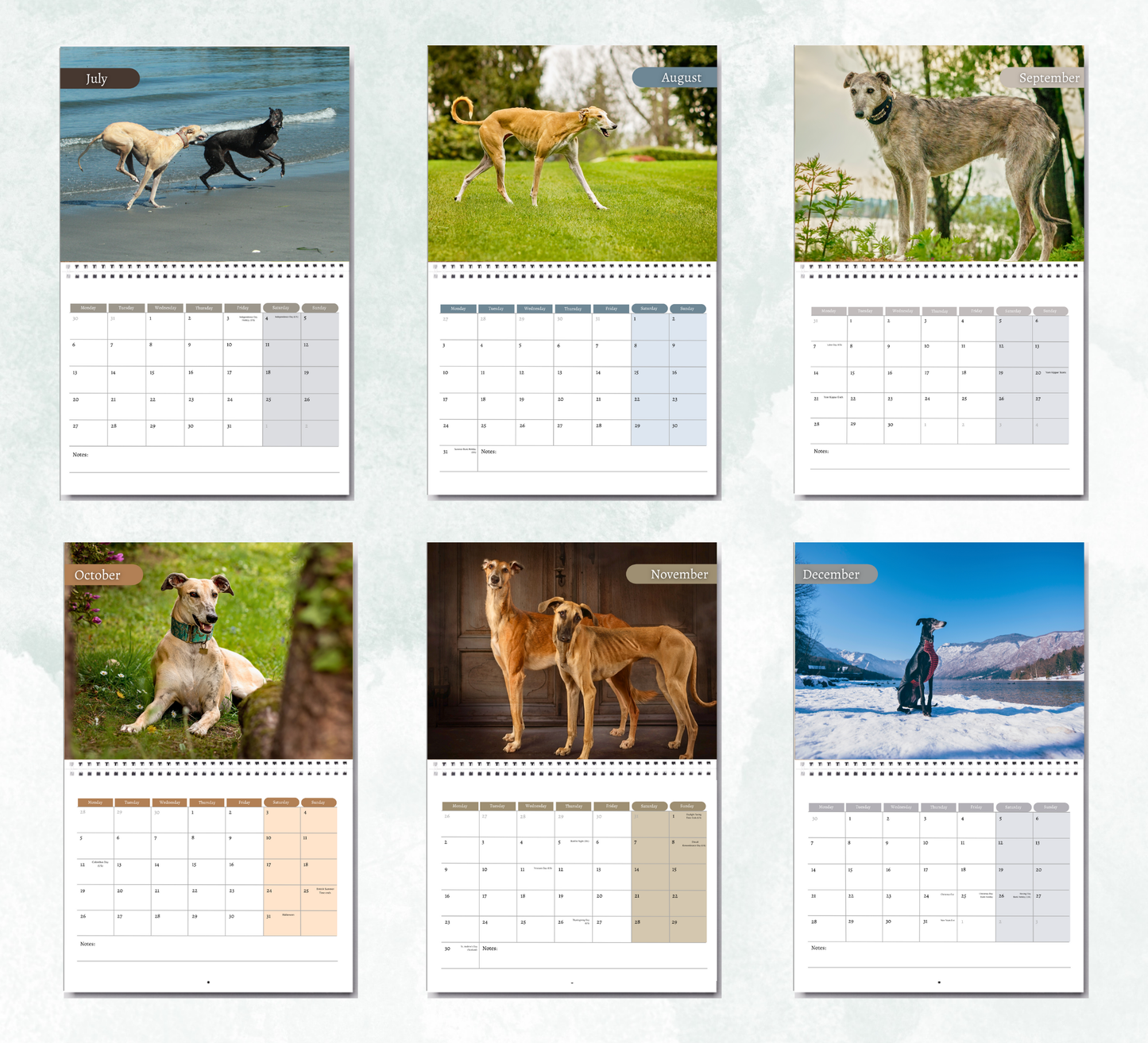 Greyhound Calendar 2026