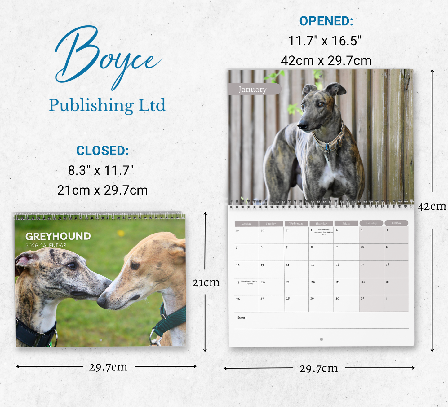 Greyhound Calendar 2026