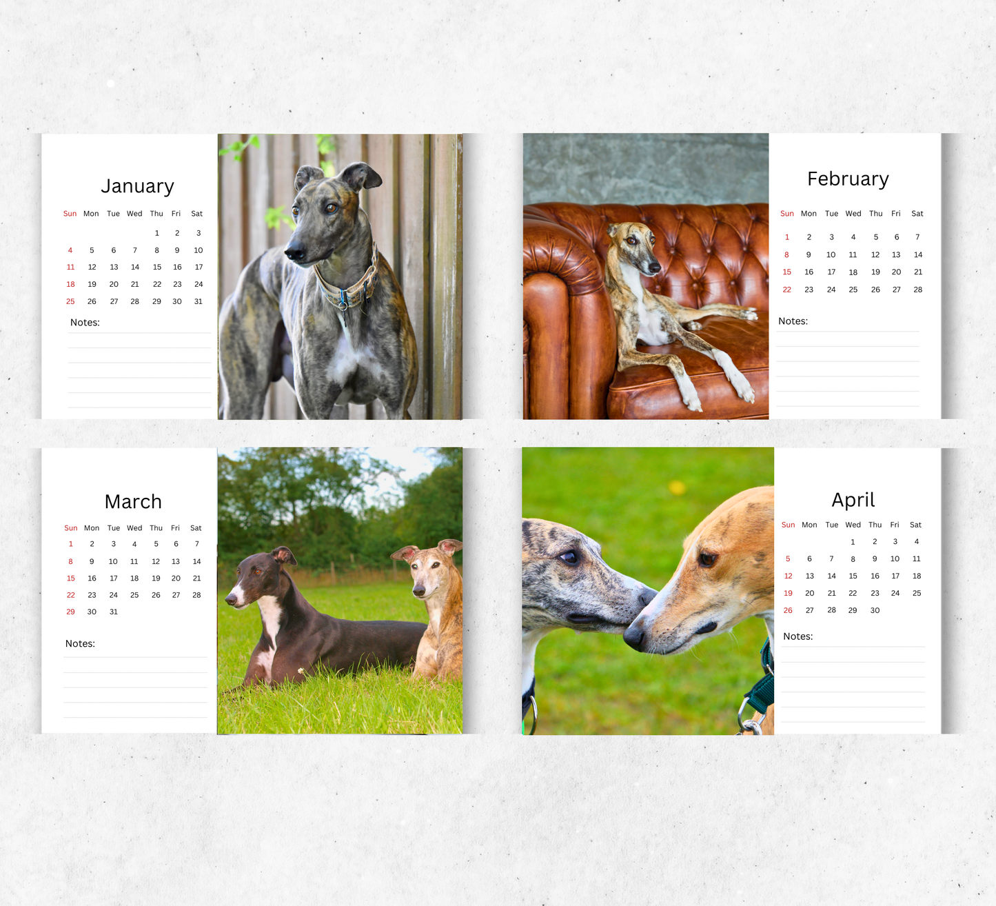 Greyhound Desk Calendar 2026-2027