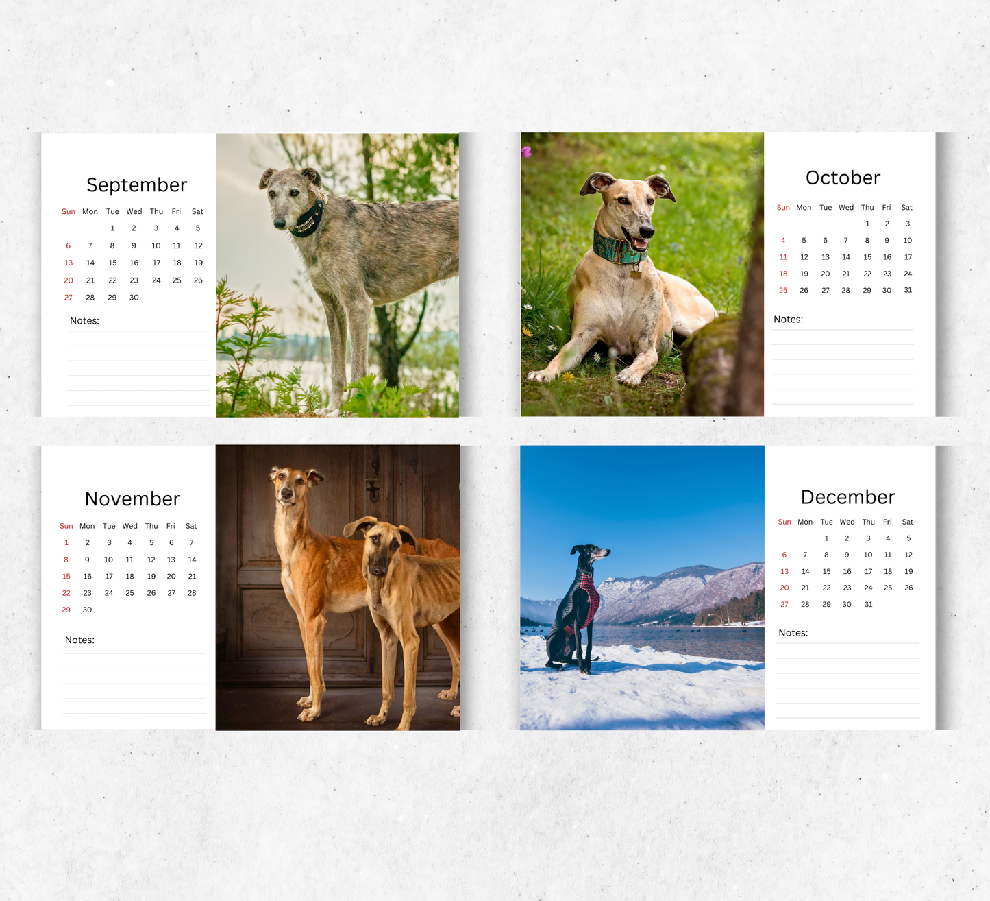Greyhound Desk Calendar 2026-2027