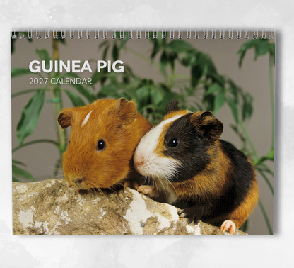 Guinea Pig Calendar 2027