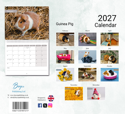Guinea Pig Calendar 2027