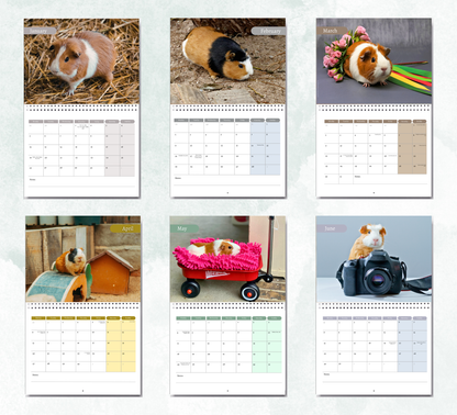 Guinea Pig Calendar 2027